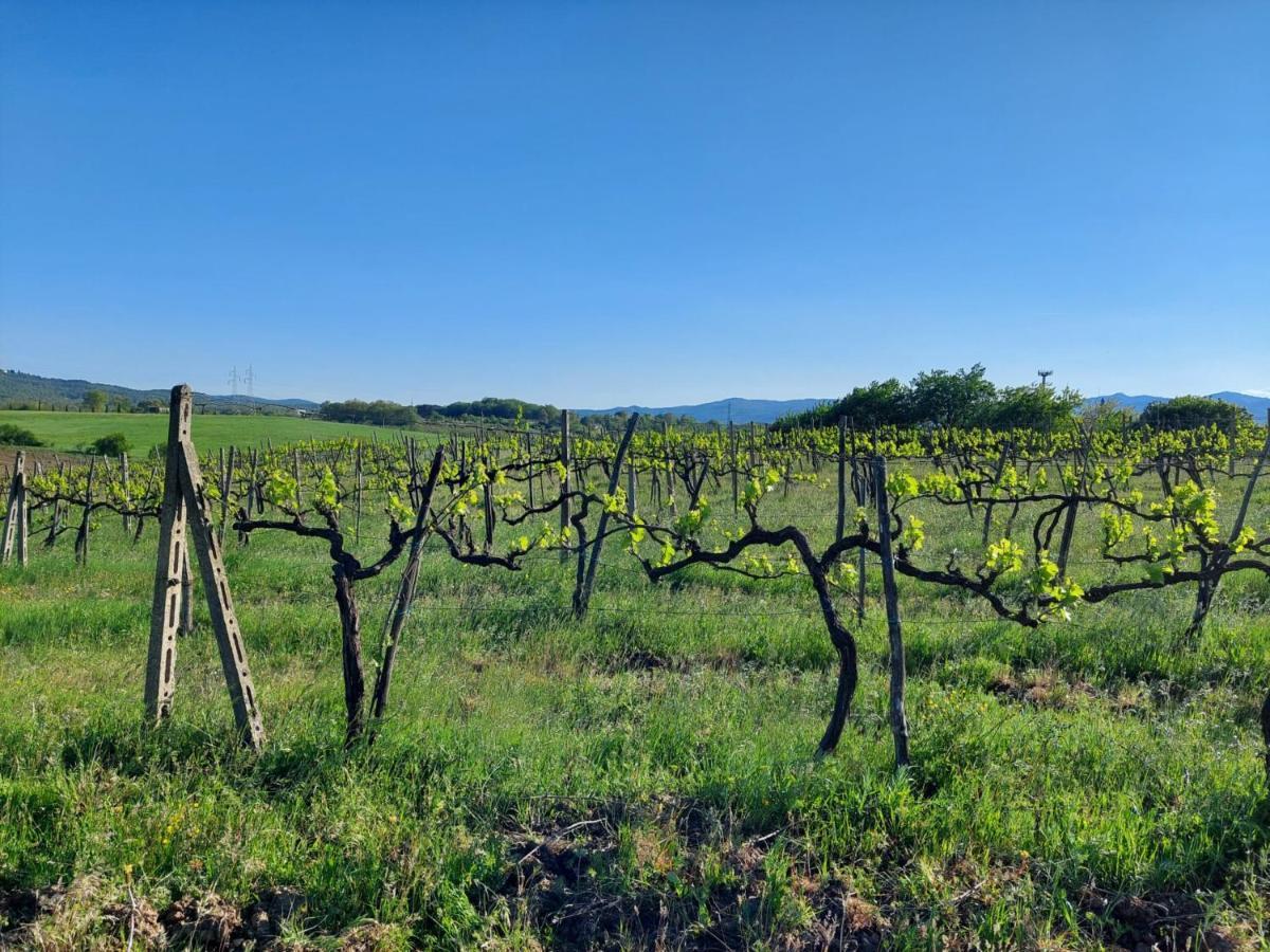Tenuta I Lecci Terranuova Bracciolini Eksteriør billede