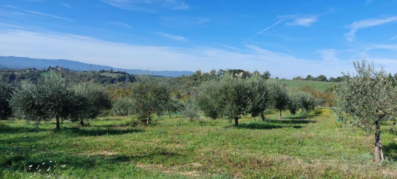Tenuta I Lecci Terranuova Bracciolini Eksteriør billede