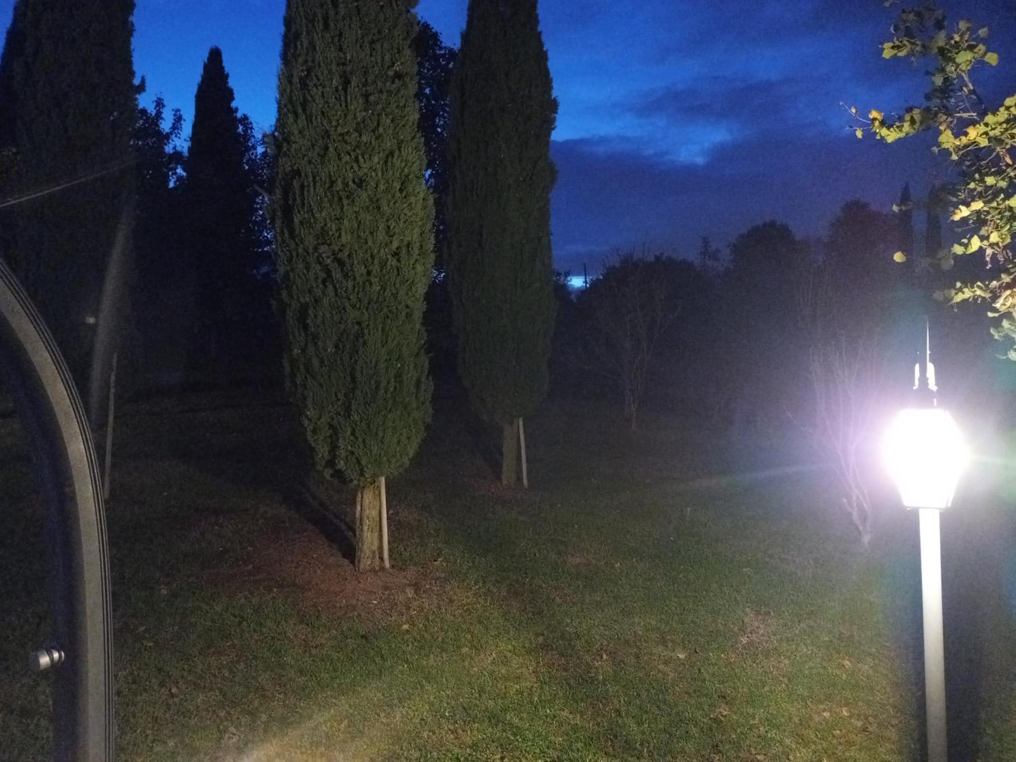 Tenuta I Lecci Terranuova Bracciolini Eksteriør billede